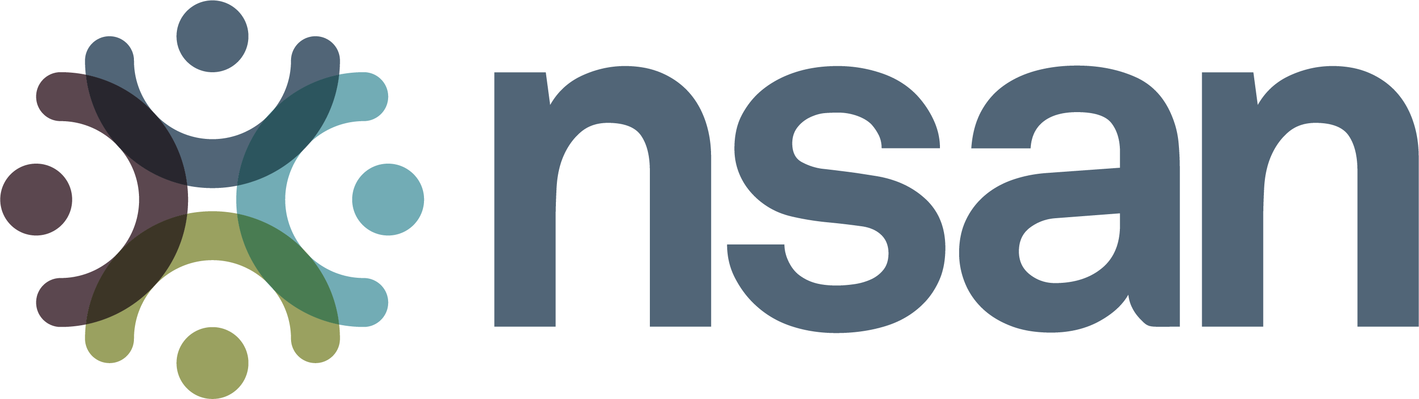National Skills Academy for Nuclear logo